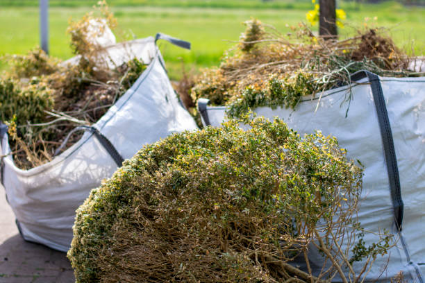 Best Appliance Removal Near Me  in Stephens City, VA