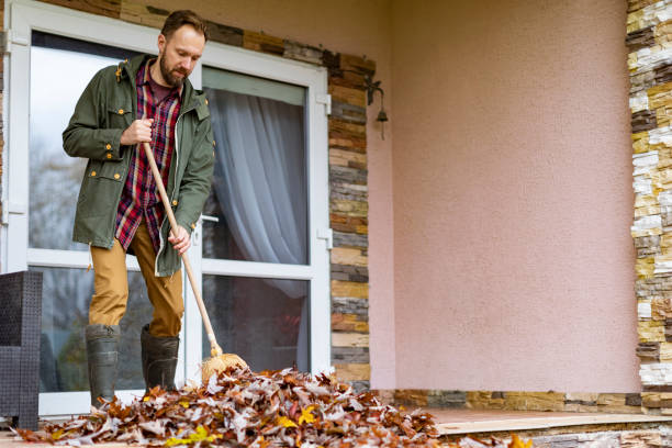Best Construction Debris Removal  in Stephens City, VA